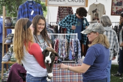 Parkfield Bluegrass Festival 2016